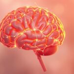 20 façons d'améliorer votre mémoire